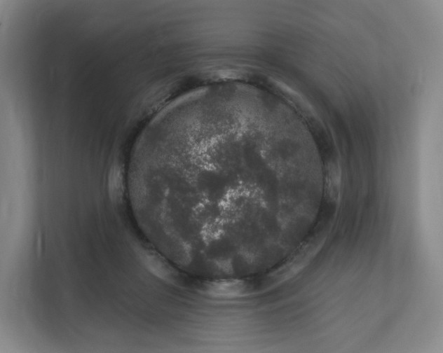 X0000110760410200906291032