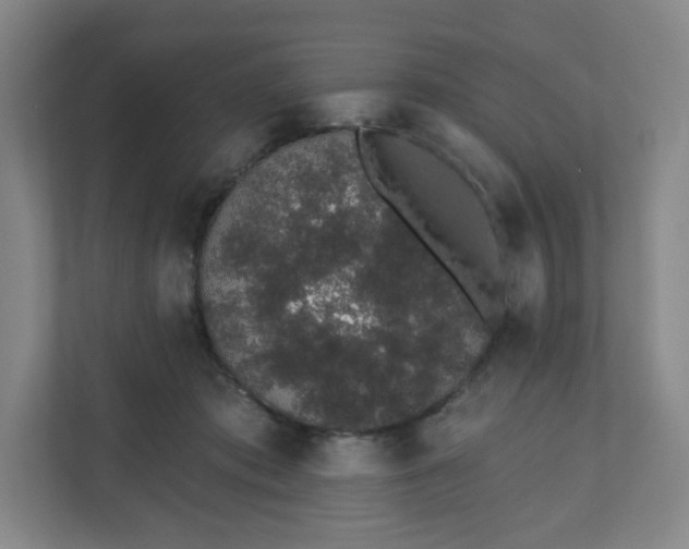 X0000110760413200906291032