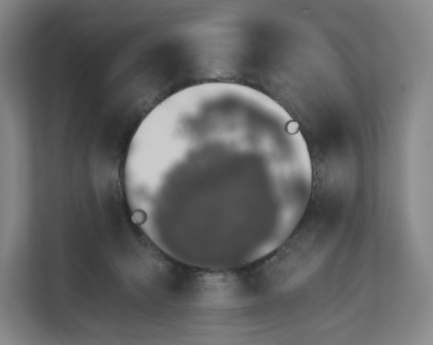 X0000110760415200906291032