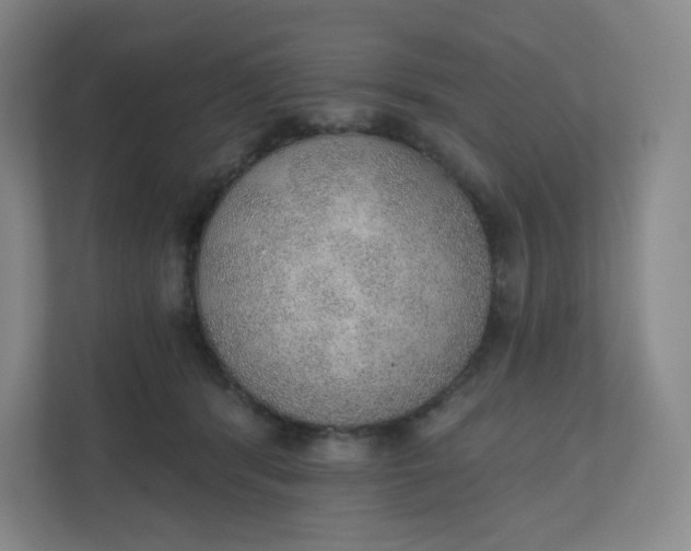 X0000110760416200906291032