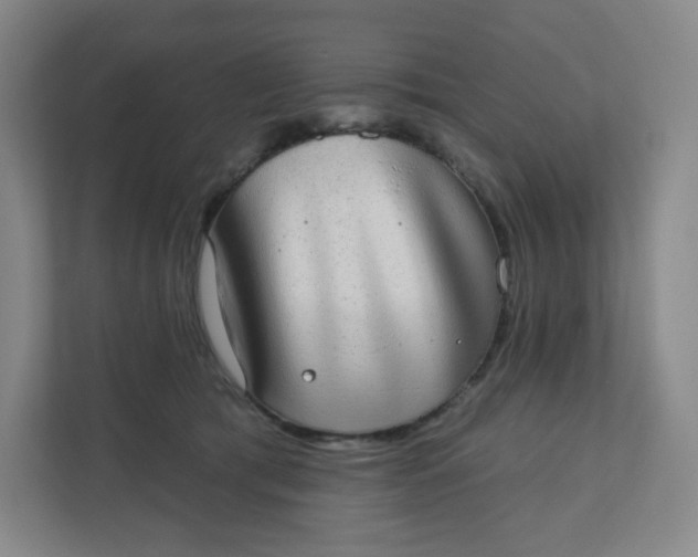 X0000110760417200906291032