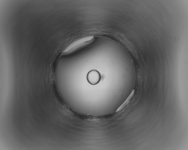 X0000110760419200906291032