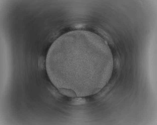 X0000110760421200906291032