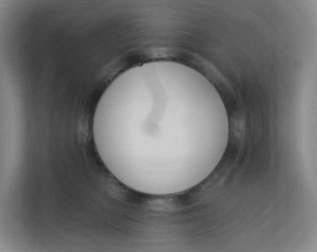 X0000110760422200906291032