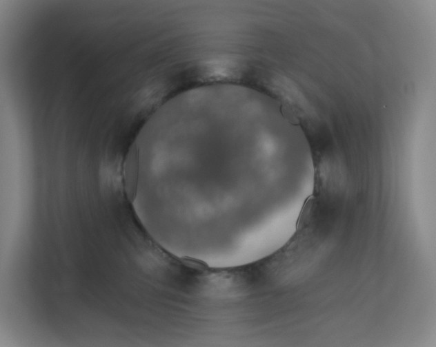 X0000110760423200906291032