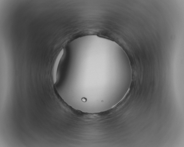 X0000110760427200906291032