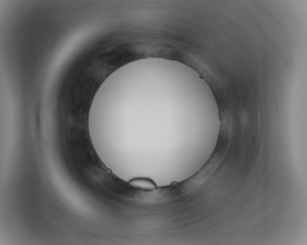 X0000110760430200906291032