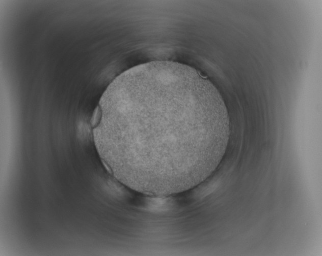 X0000110760432200906291032
