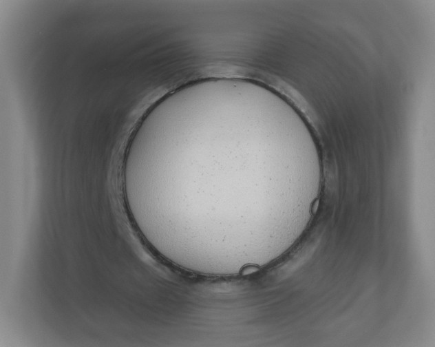 X0000110760433200906291031