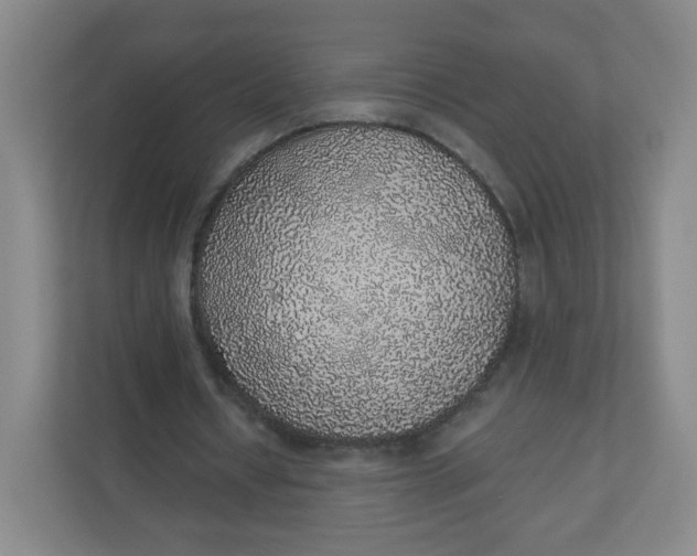 X0000110760434200906291031