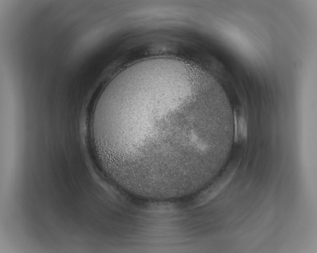 X0000110760435200906291031