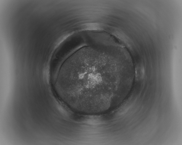X0000110760436200906291031