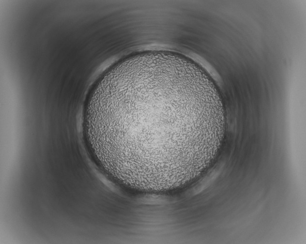 X0000110760437200906291031