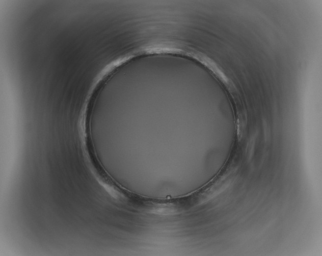 X0000110760438200906291031