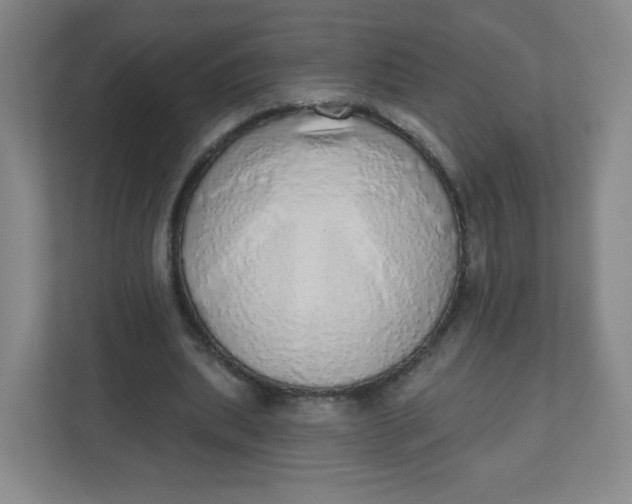 X0000110760439200906291031