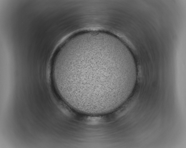 X0000110760440200906291031