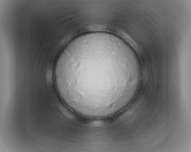 X0000110760441200906291031