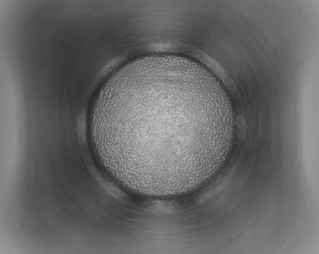 X0000110760442200906291031