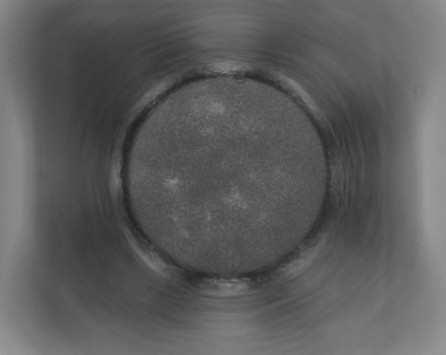 X0000110760443200906291031