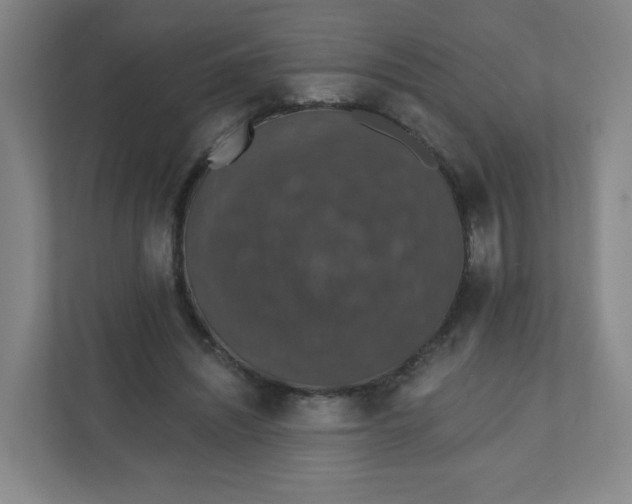 X0000110760444200906291031