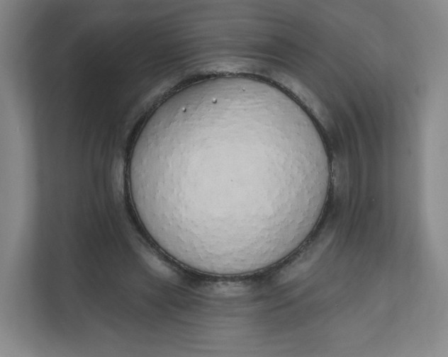 X0000110760445200906291031