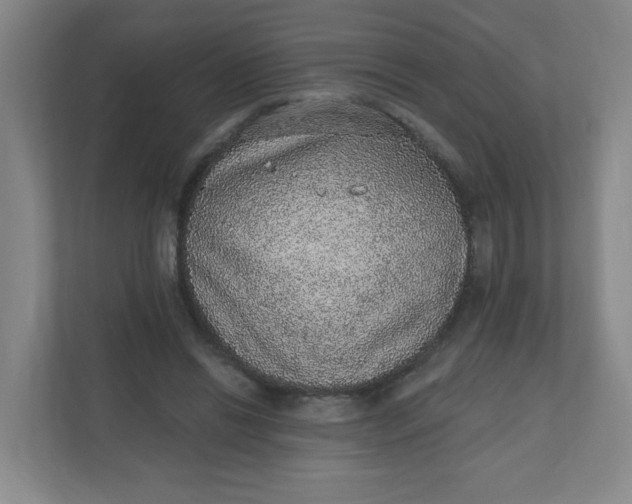 X0000110760446200906291031