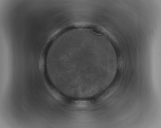 X0000110760448200906291031