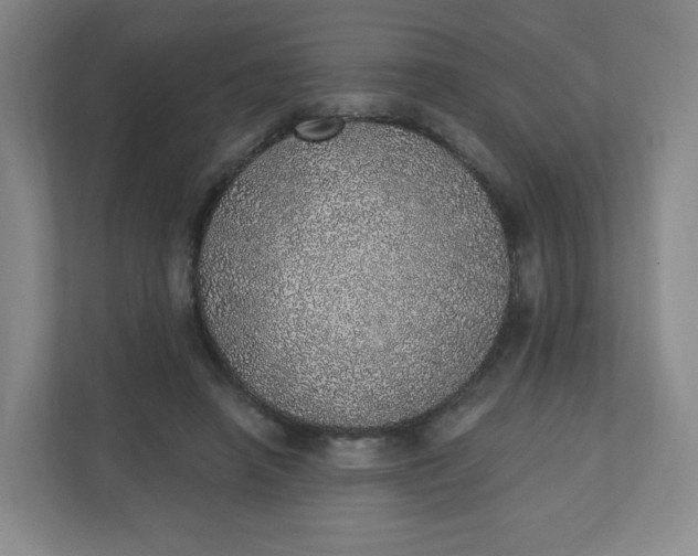 X0000110760450200906291031