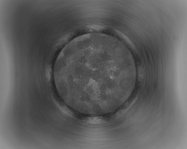 X0000110760451200906291031
