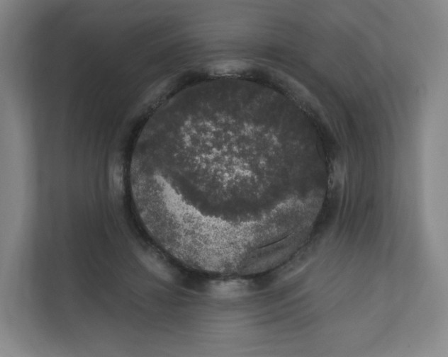 X0000110760452200906291031