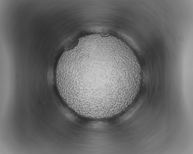 X0000110760453200906291031