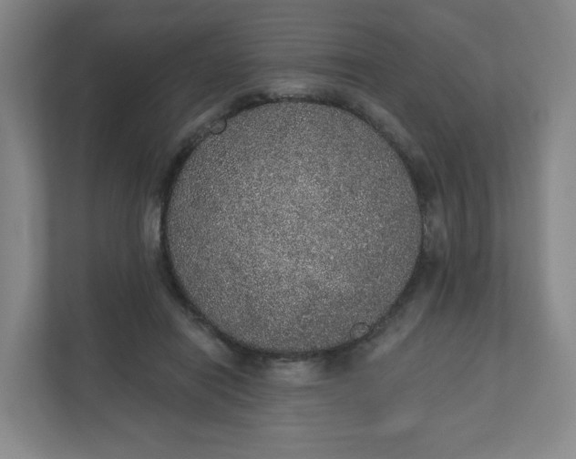 X0000110760454200906291031
