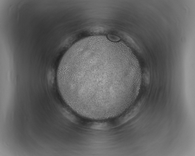 X0000110760458200906291031