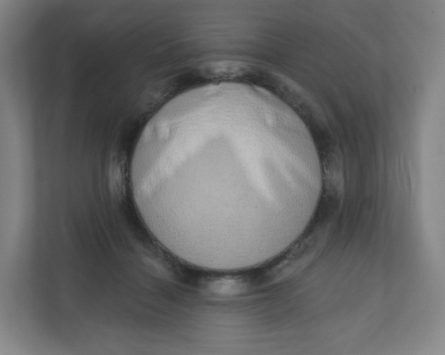 X0000110760460200906291031