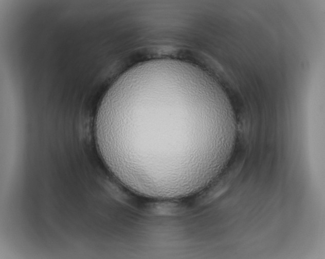 X0000110760462200906291031