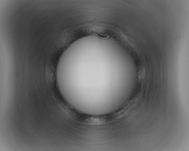 X0000110760464200906291031