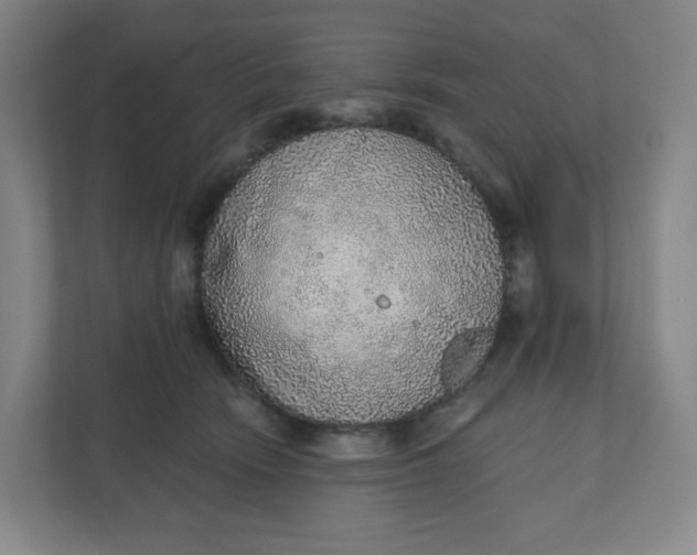 X0000110760466200906291031