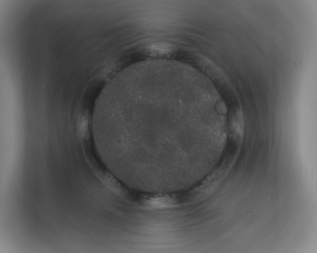 X0000110760468200906291031