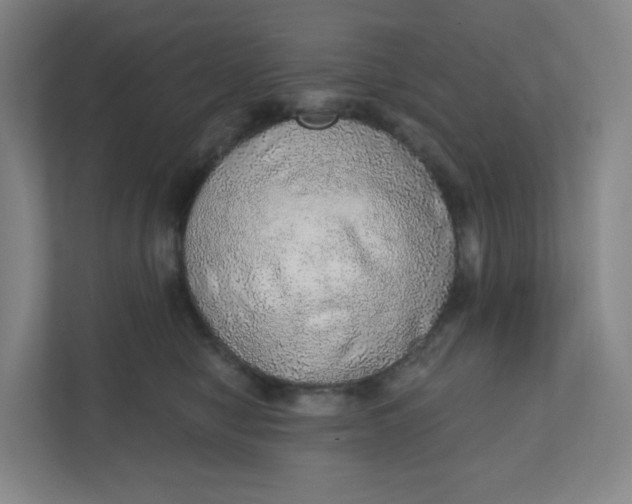 X0000110760470200906291031