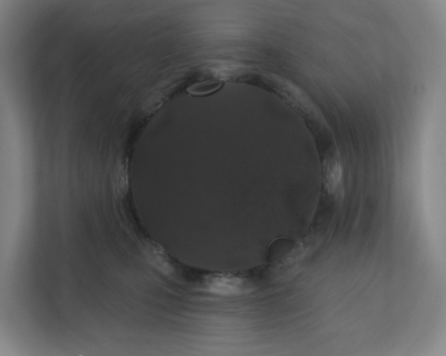 X0000110760471200906291032