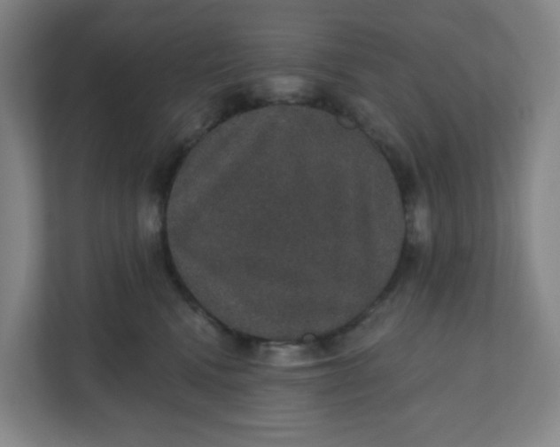 X0000110760472200906291032