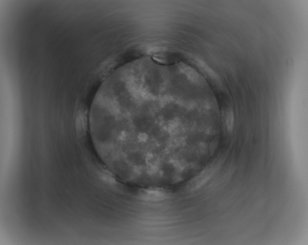 X0000110760475200906291032