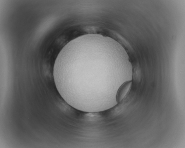 X0000110760477200906291032