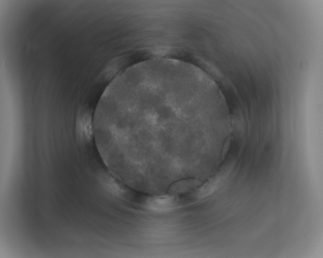 X0000110760479200906291032