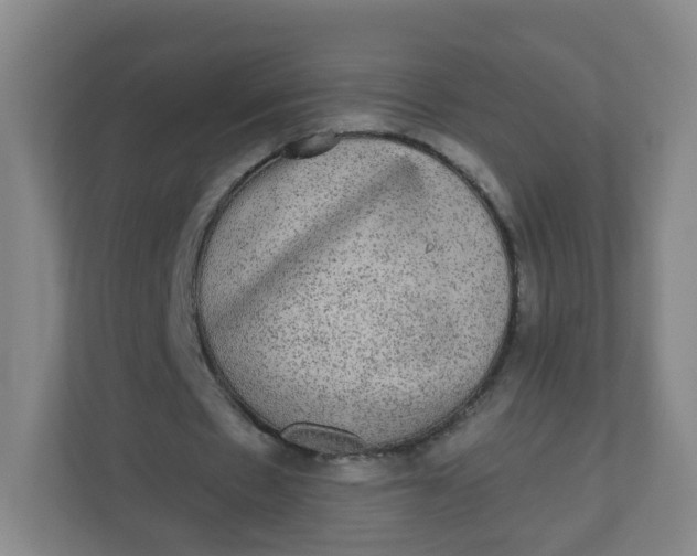 X0000110760481200906291031