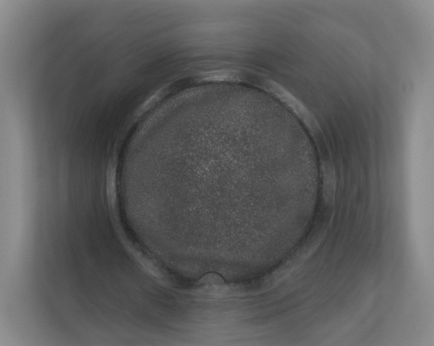 X0000110760482200906291031