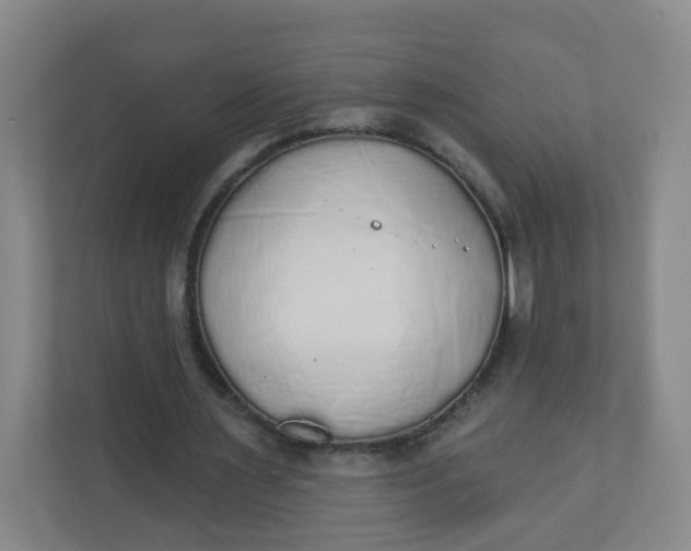 X0000110760483200906291031