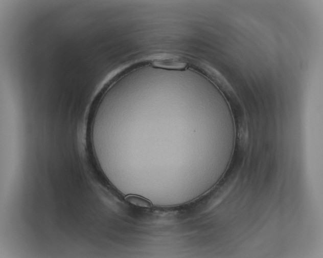 X0000110760484200906291031
