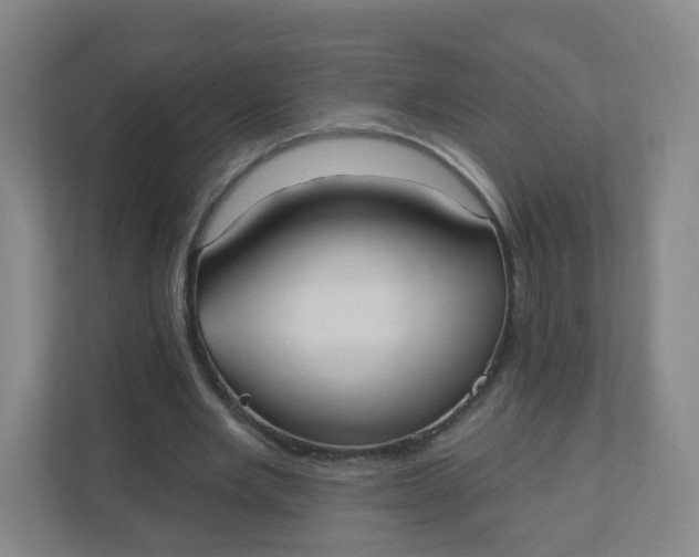 X0000110760485200906291031