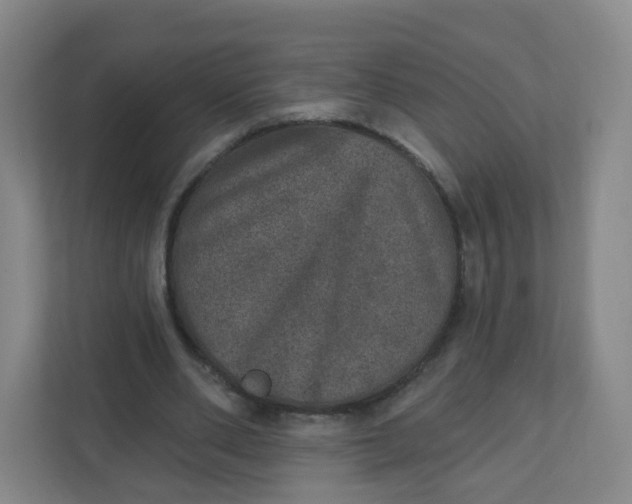 X0000110760486200906291031
